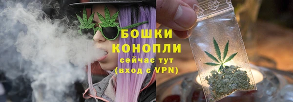 хмурый Богородск