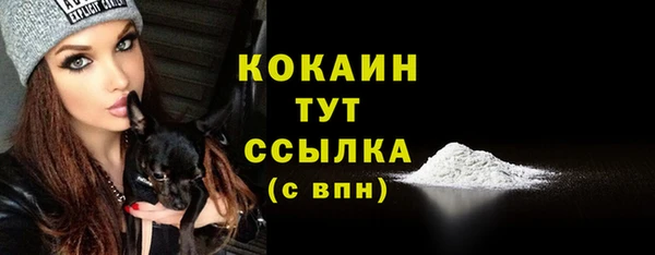 хмурый Богородск