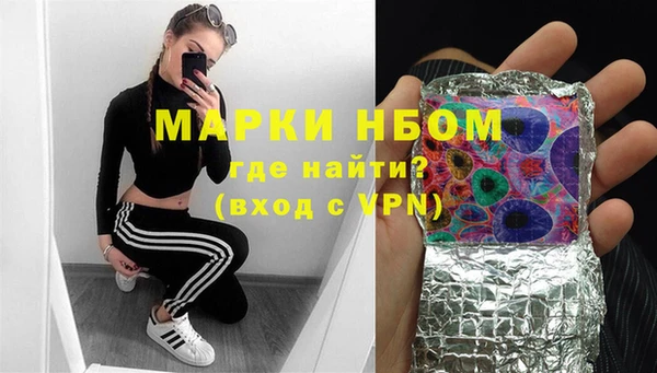 хмурый Богородск