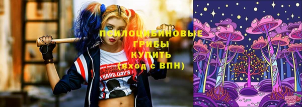 мескалин Богородицк