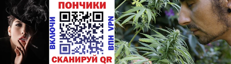 Бошки марихуана Bruce Banner  omg ССЫЛКА  Дагестанские Огни 
